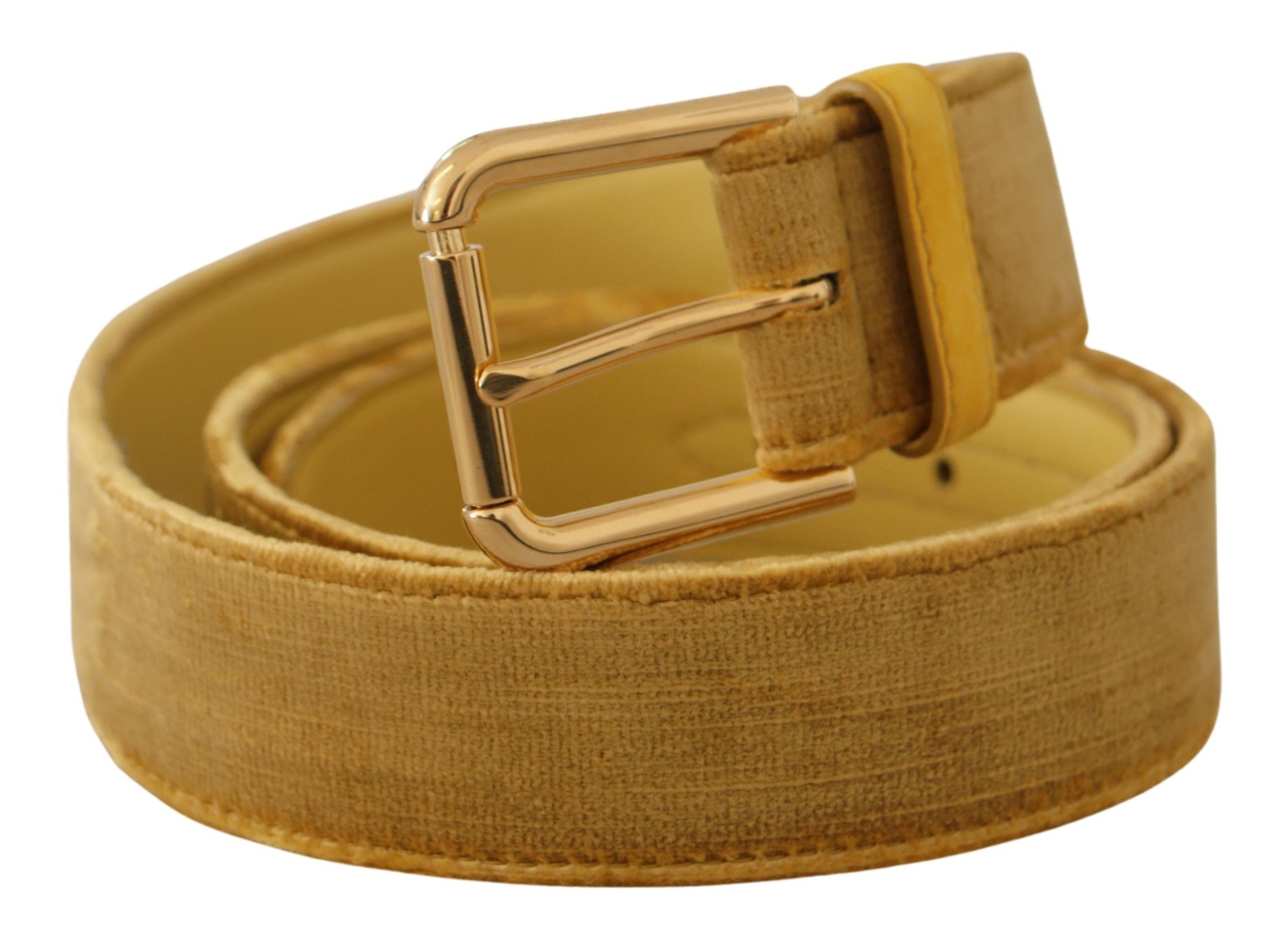 Dolce &amp; Gabbana Ceinture élégante en velours de créateur à boucle dorée