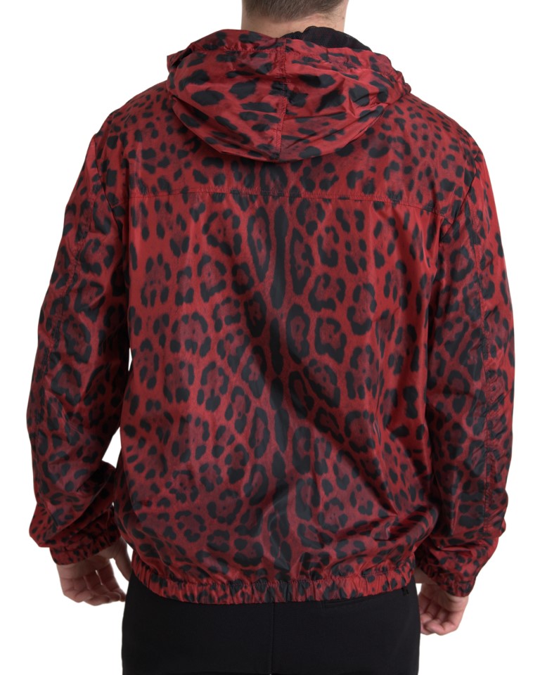 Dolce &amp; Gabbana Blouson aviateur à capuche léopard rouge