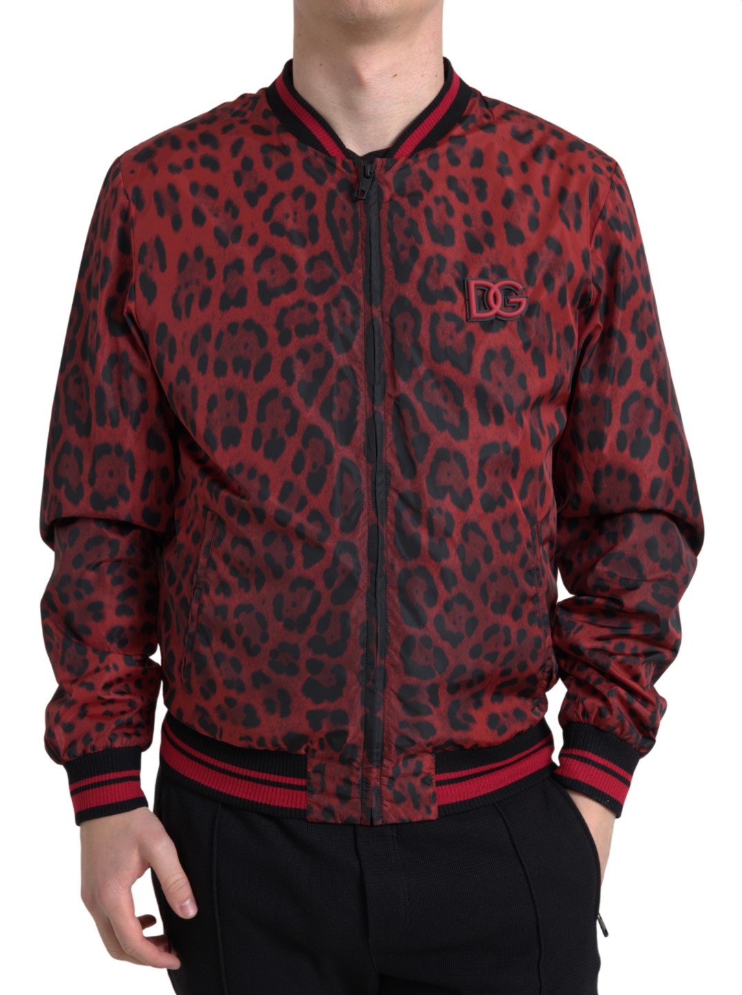 Dolce &amp; Gabbana Blouson aviateur rouge à imprimé léopard