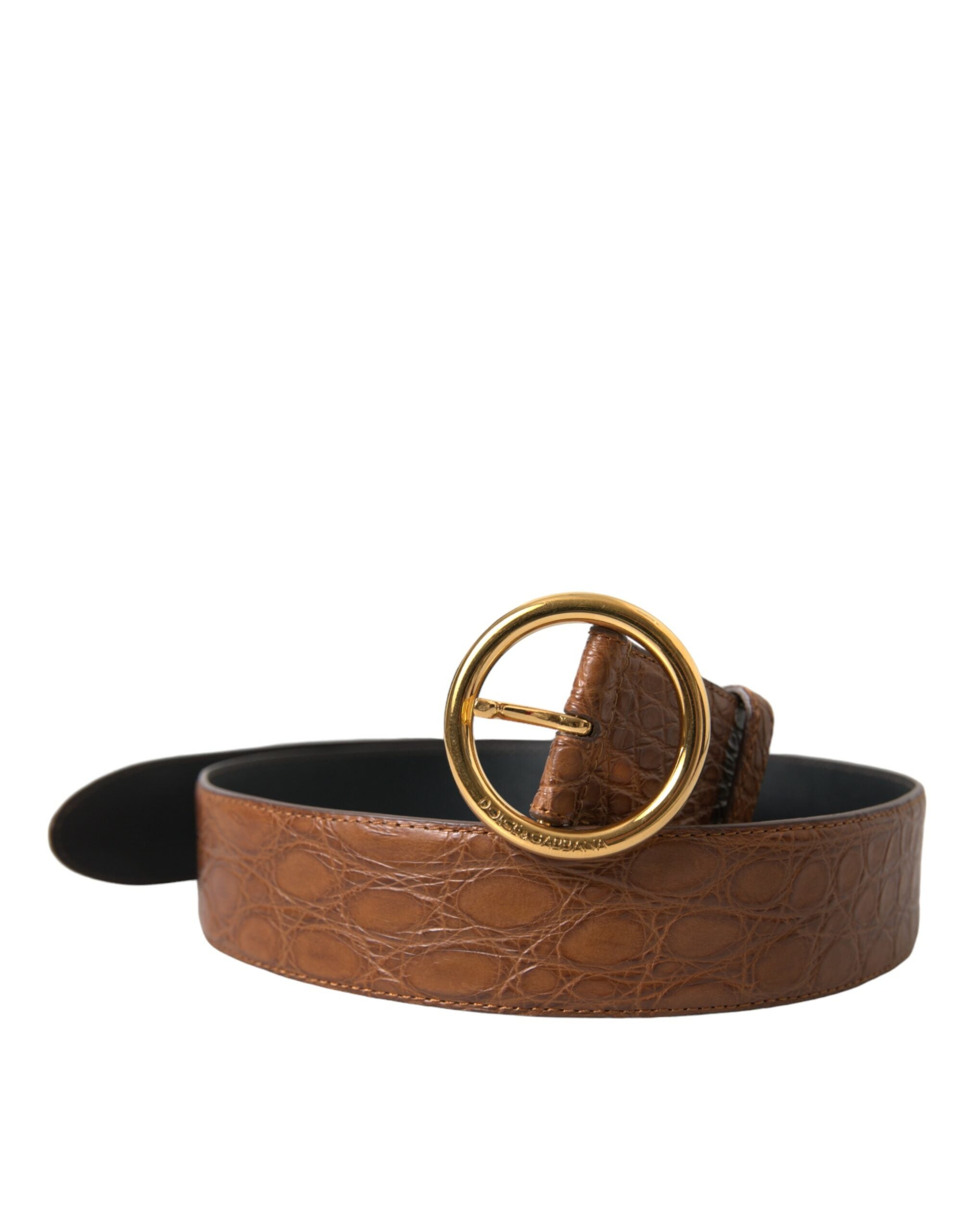 Dolce &amp; Gabbana Ceinture élégante en cuir exotique - Marron riche