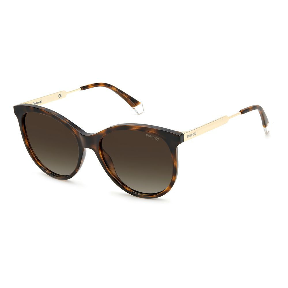 Polaroid Brown Resin Sunglasses